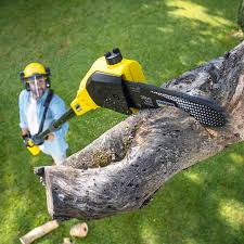 Best Tree Removal  in Friendly, MD