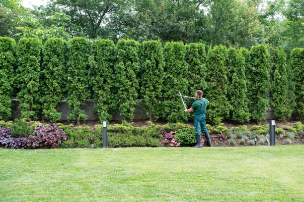 Best Artificial Turf Installation  in Friendly, MD